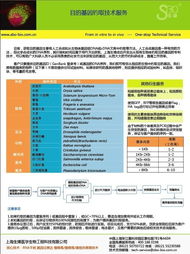 目的基因釣取技術服務 上海生博醫學生物工程科技有限公司的專業優勢與網絡技術支撐